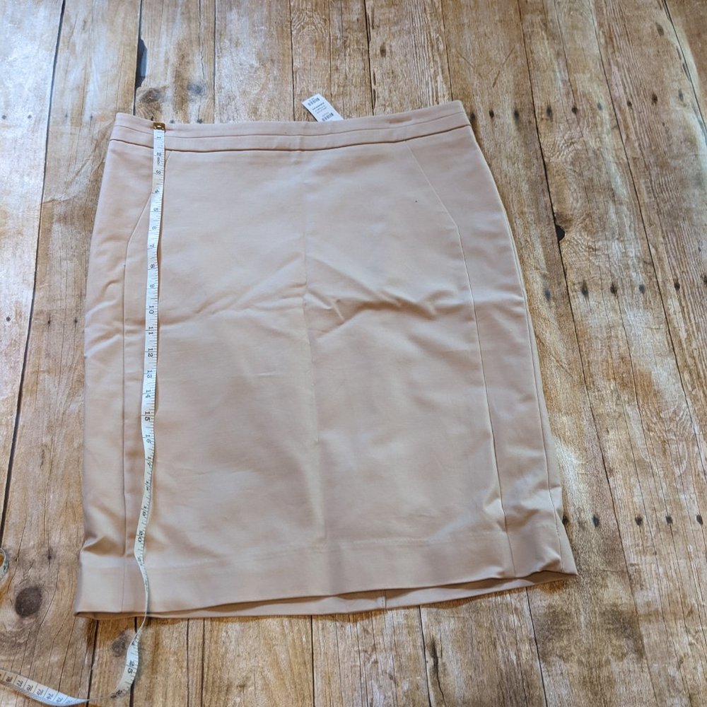 NWT pencil skirt